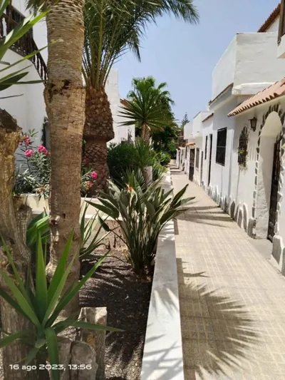 2 Camere Splendida casa vacanze in Tenerife del Sur Casa Trilly — foto 7