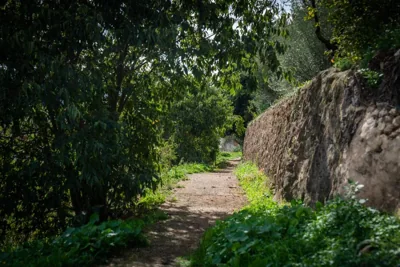 7 Pisos Casa Rural de Pueblo — foto 11