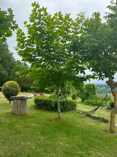 A casa de Carmen — foto 9