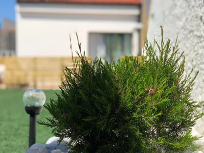 A caseta de Sil — foto 11