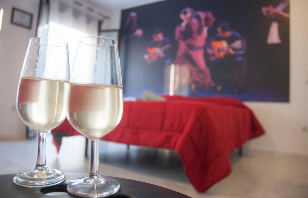 Studio-appartement - 1 tweepersoonsbed — A Jerez Apartamentos