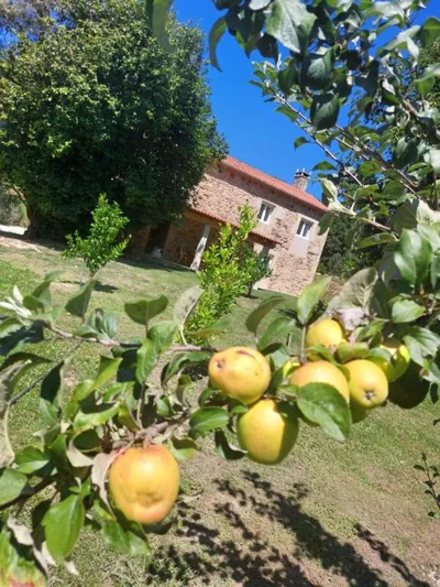 A Quinta Das Maceiras — photo 10