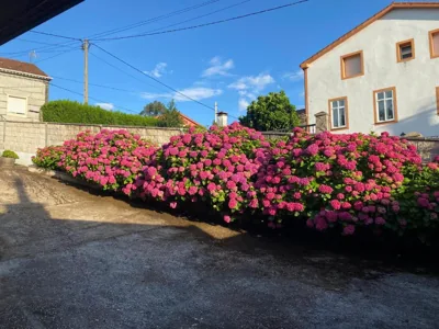 A Retorta — Foto 10