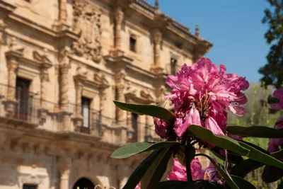 Abba Palacio de Soñanes Hotel — foto 10