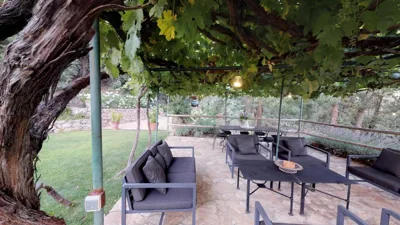 Abejas 1 de El Vergel de Chilla — foto 12