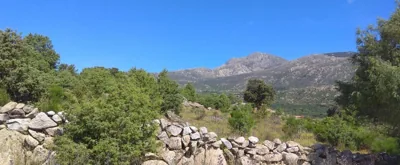 Acogedora casa rural en la sierra de Madrid — photo 11