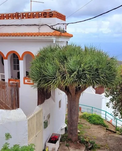 Acoran Family Ocean View Guest House With Daily Yoga Practice Included North Gran Canaria PRIVATE ROOM PET FRIENDLY — photo 5