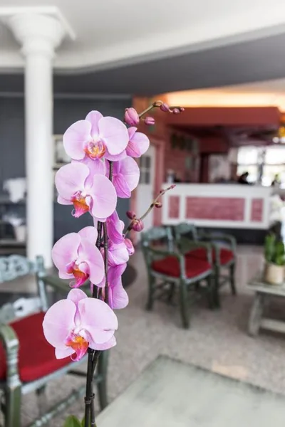 Adrián Hoteles Colón Guanahaní Adultos Only — 写真 12