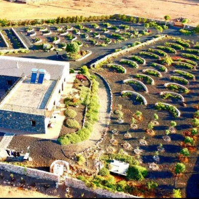Agriturismo El Bounty — foto 9