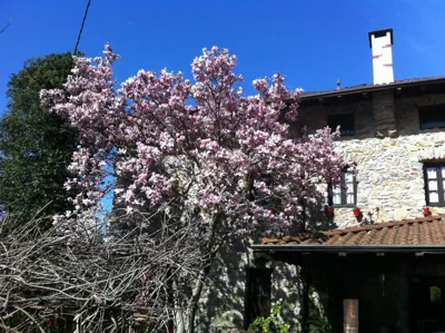 Agroturismo Izarre — foto 11