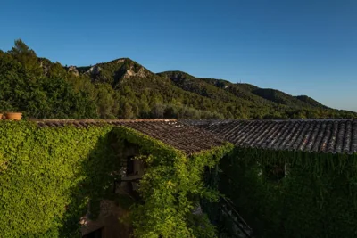 Agroturismo Son Boronat — foto 10
