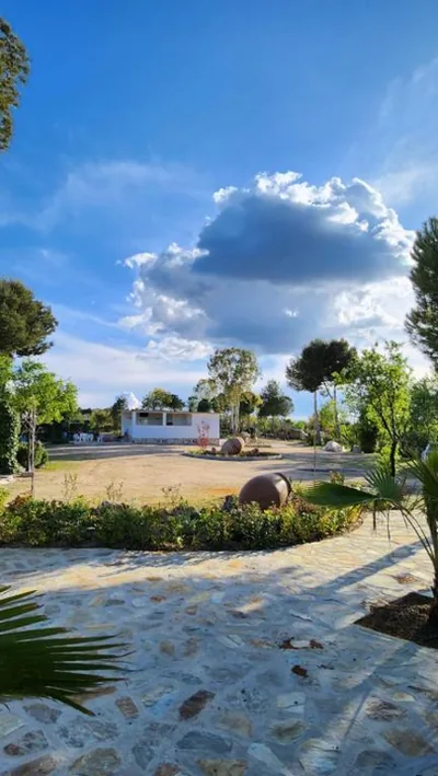 Agroturismo Viña Inés Toledo — photo 9
