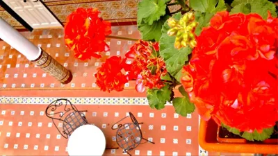 Al Andalus Jerez — foto 11