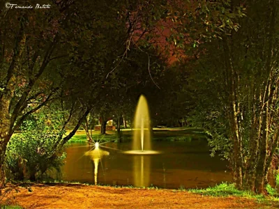 Albergue Camiño Real — foto 12