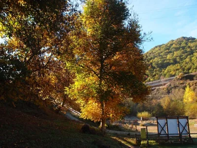 Albergue Casa del Pescador — 写真 8