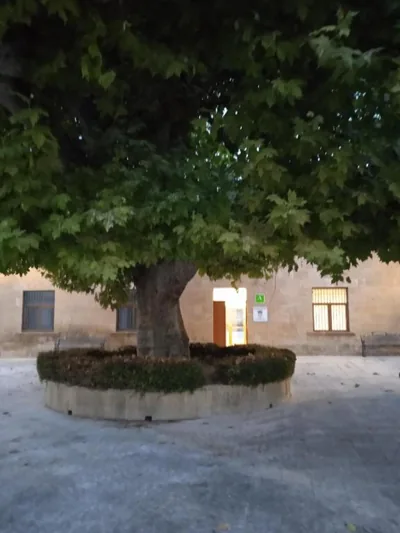 Albergue de Maella — foto 5