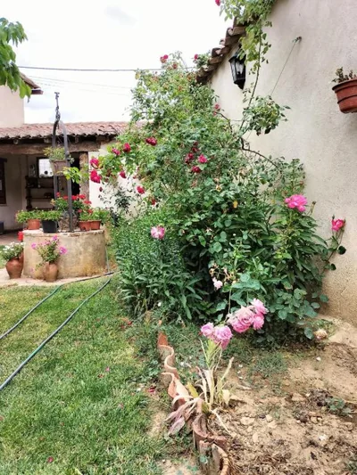 Albergue Don Camino — 写真 11