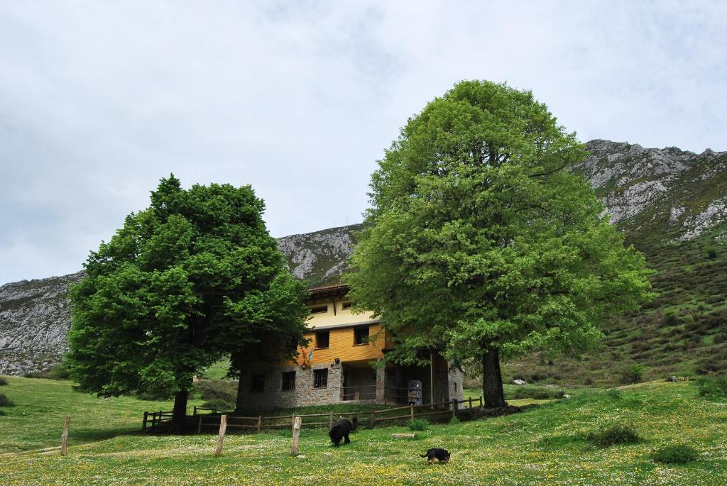 Albergue Fayacava