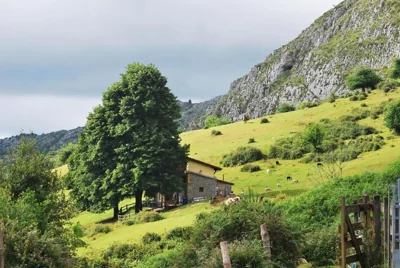 Albergue Fayacava — foto 7