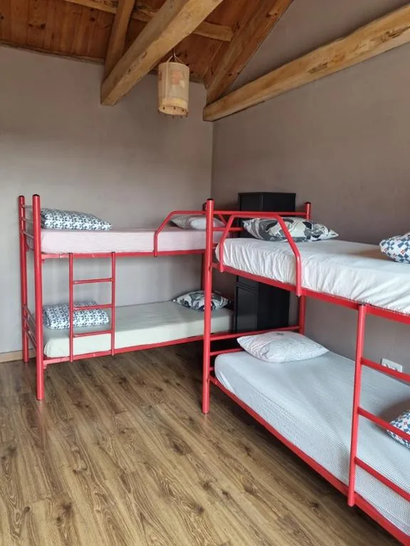 Letto a castello in camera condivisa mista — Albergue Gabino