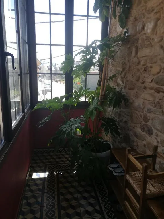 Lit superposé en dortoir mixte — Albergue la Medina de Camponaraya