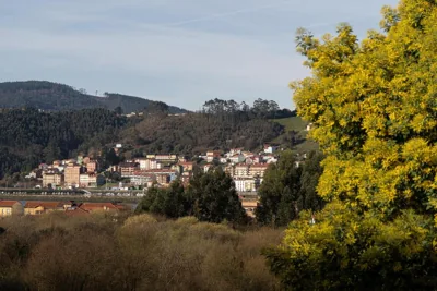 Albergue Las Mimosas del Nalón — Foto 12
