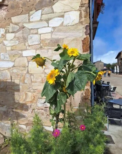 Albergue Monte irago — foto 9
