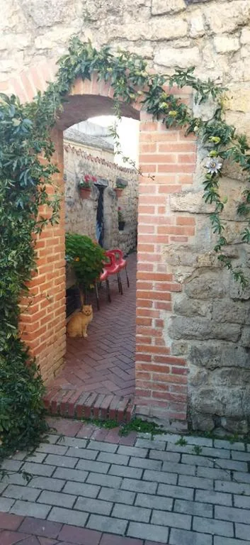 Albergue Municipal de peregrinos Pilgrim Hostel — foto 8
