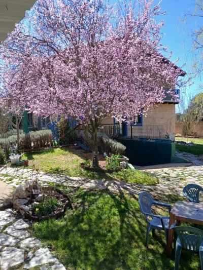 ALBERGUE peregrinos CASAFLOR — 写真 10