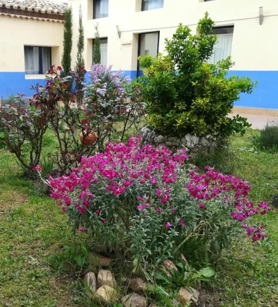 Albergue Quinta del Jalón — Foto 8