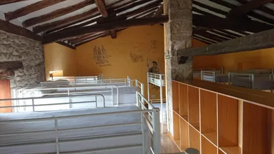 Albergue Sansol - El oasis del camino francés - Exclusivo para peregrinos — foto 12