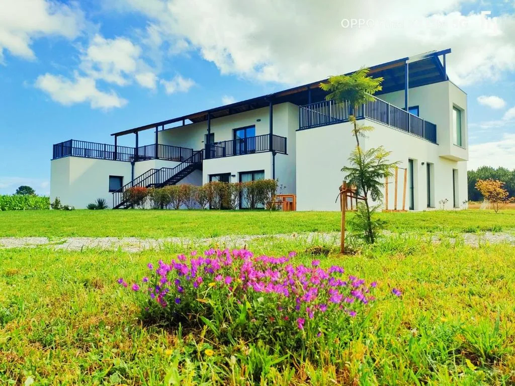 Single Bed in 10-Bed Shared Dormitory — Albergue turístico Anam Cara House