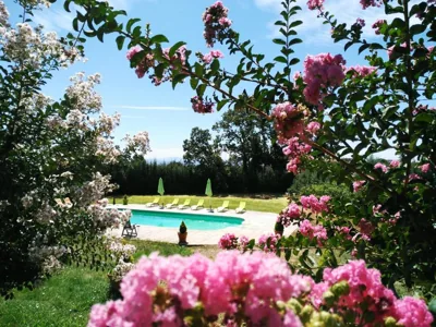 Alcor del Roble — foto 9