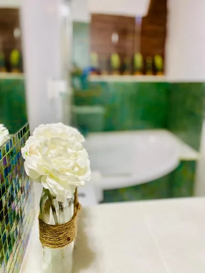 Almocabar Luxury Apartment — foto 8