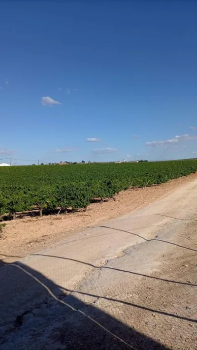 ALOJAMIENTO RURAL CASA LOS ARENALES — foto 11