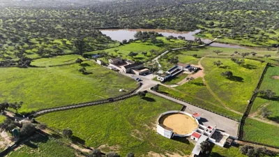 Alojamiento Rural Finca Barral — foto 3