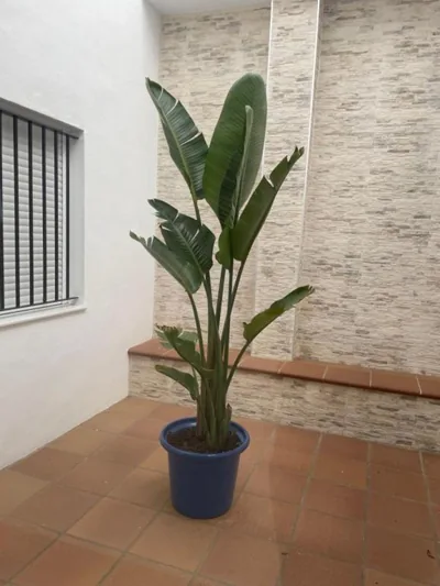 Alojamiento Saturno 1 — foto 9