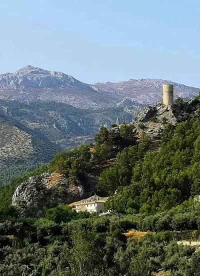 Alojamiento Turístico Mirador del Castillo — photo 6