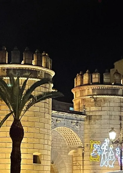 Alojamientos Puerta Palma con vistas y Parking — foto 10