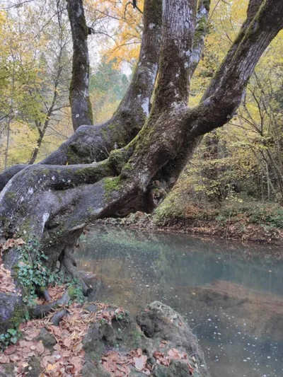 Alojamientos Rurales La Hoz — foto 9
