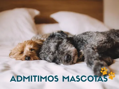 Alojamientos Valdecilla 3000 — 写真 12