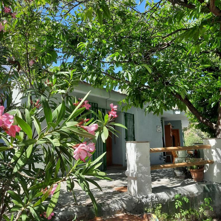 Alpujarra Guesthouse, remote off-grid mountain accommodation