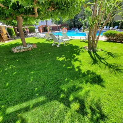 Ampuria Inn — foto 12