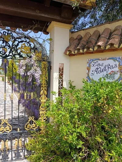 Andalusian experience — foto 9