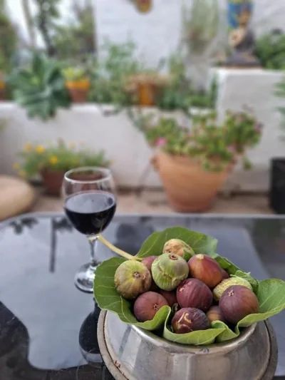 Andalusian Finca with Charming Rural Cottages, 30 min from Malaga — 写真 10