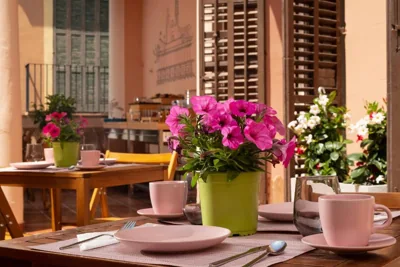 Antonios Hostal — 照片 12
