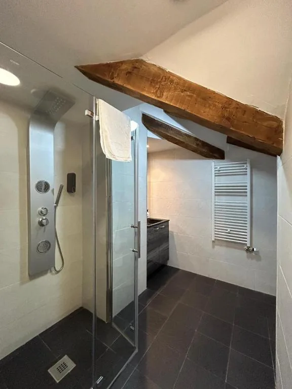 APARTAHOTEL CANFRANC