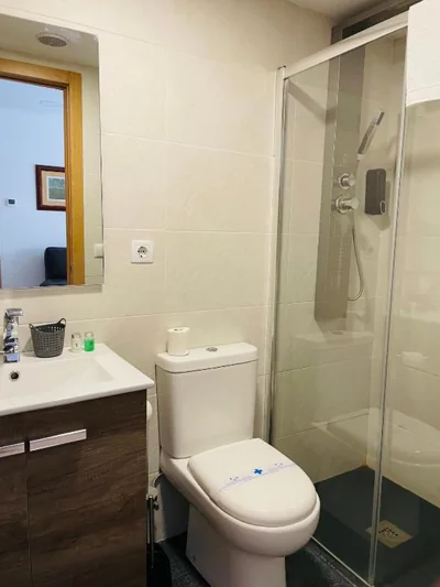 APARTAHOTEL CANFRANC — photo 7