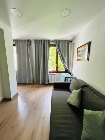 APARTAHOTEL CANFRANC — photo 11