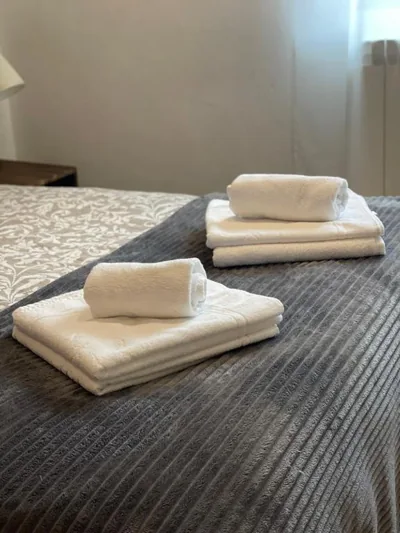 APARTAHOTEL CANFRANC — photo 12